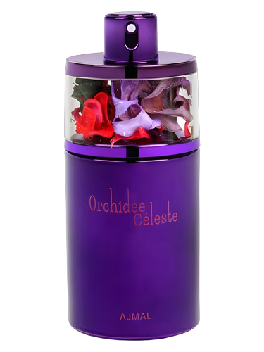 Orchidee Celeste