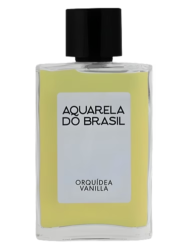 Orquídea Vanilla