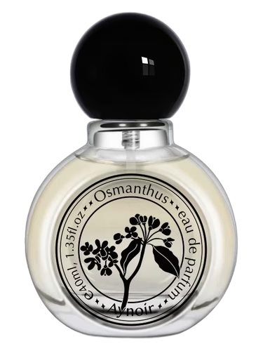 Osmanthus 桂花