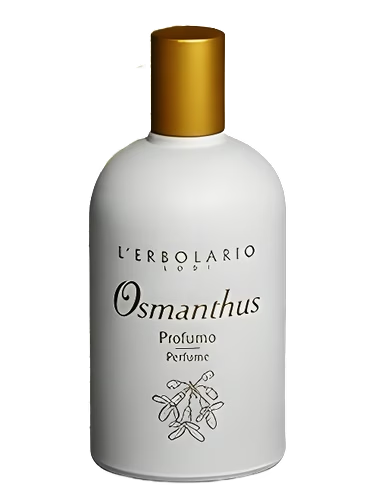 Osmanthus