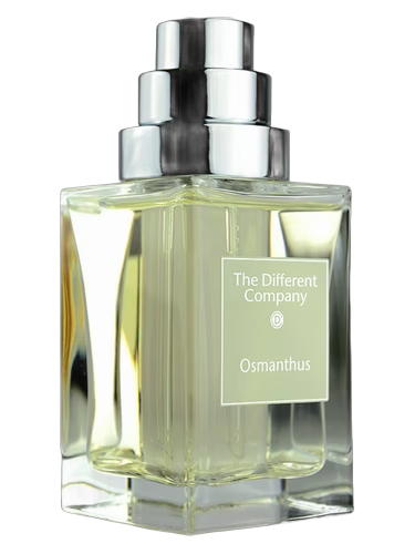 Osmanthus