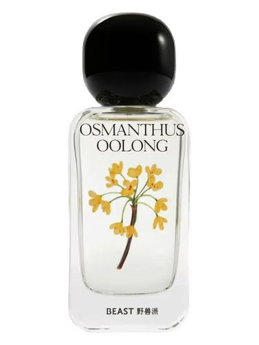Osmanthus Oolong 桂花乌龙