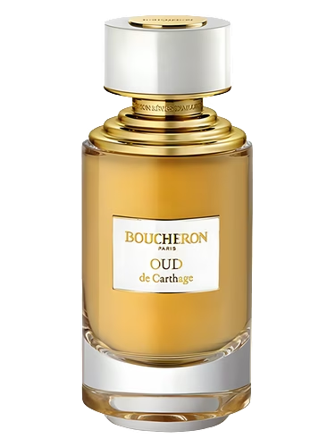 Oud de Carthage