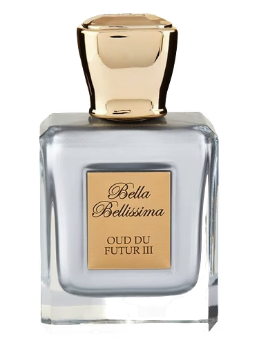 Oud Du Futur III