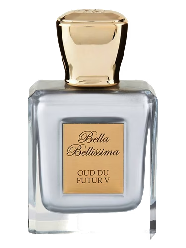 Oud Du Futur V