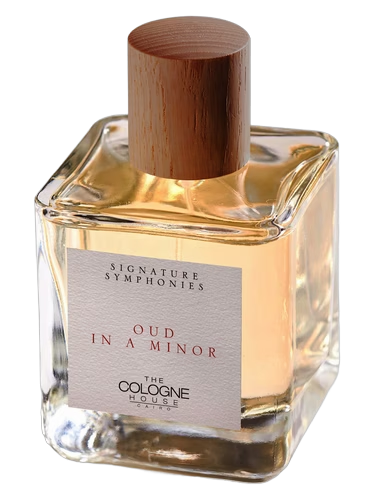 Oud in A Minor