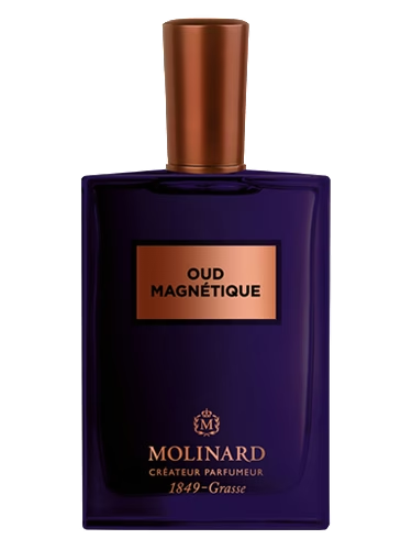 Oud Magnetique