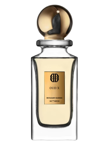 Oud X