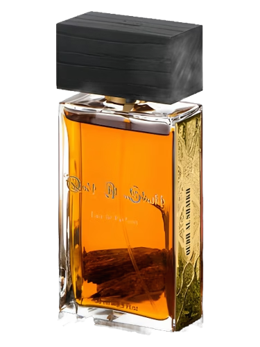 Oudh Al Shaikh