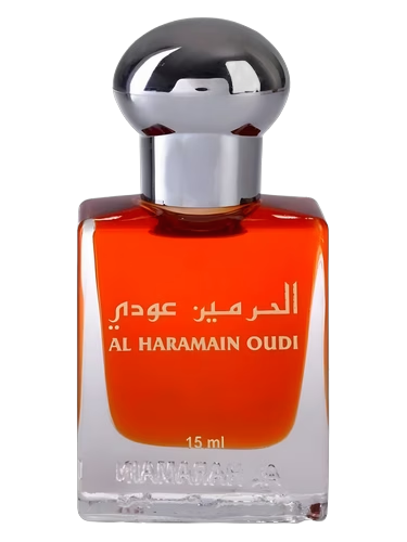 Oudi