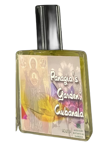 Panagia's Garden: Cubanola