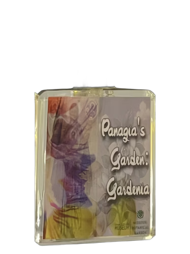 Panagia's Garden: Gardenia