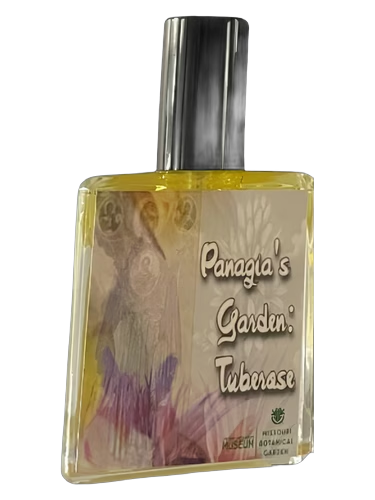 Panagia's Garden: Tuberose