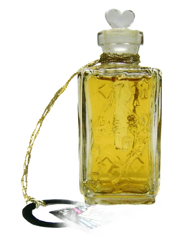 Panax Ginseng
