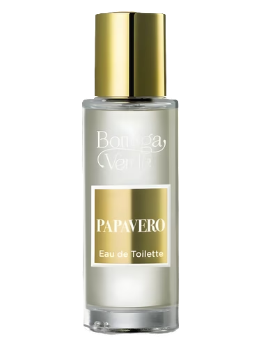 Papavero