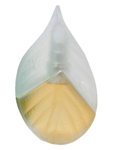 Parfum d'Ete 1992