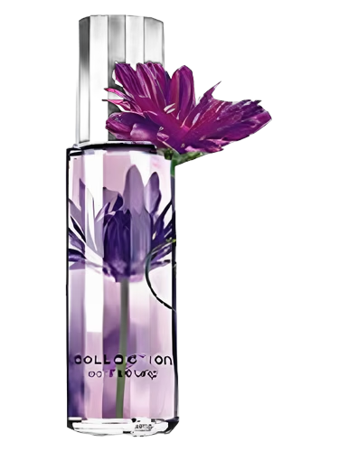 Passionate Purple
