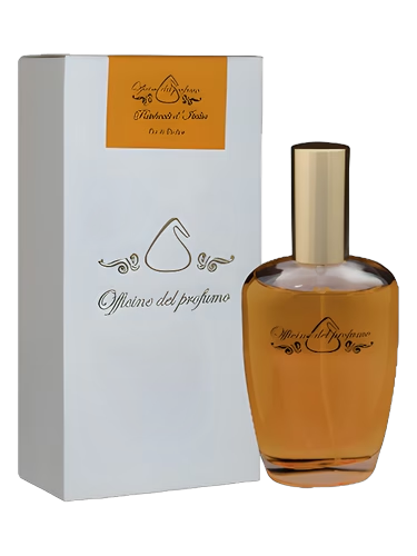 Patchouli d'Italia