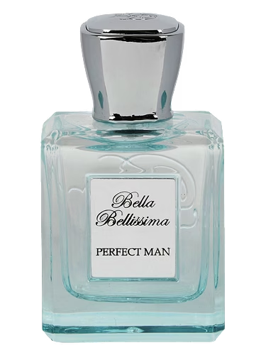 Perfect Man
