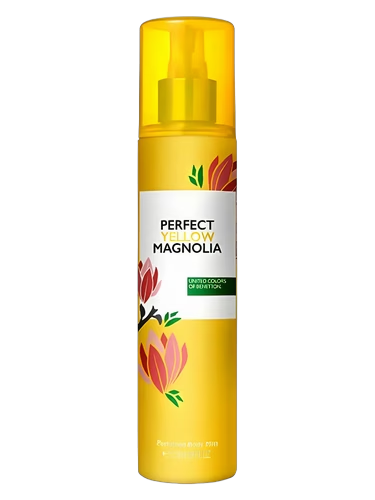 Perfect Yellow Magnolia