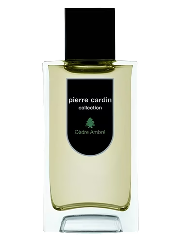 Pierre Cardin Collection Cedre-Ambre