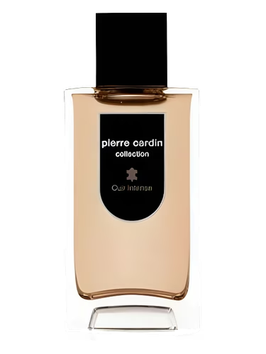Pierre Cardin Collection Cuir Intense