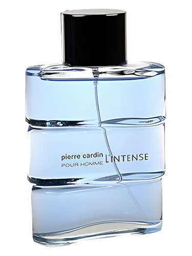 Pierre Cardin pour Homme l'Intense