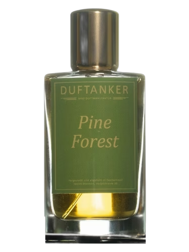 Pine Forest