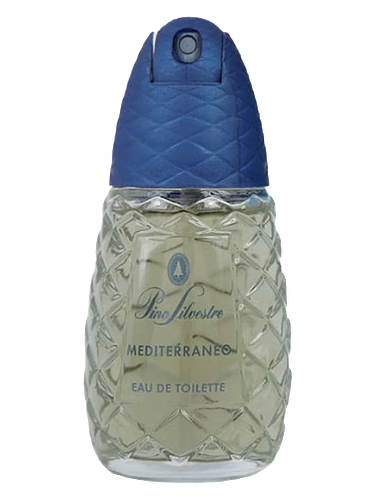 Pino Silvestre Mediterraneo
