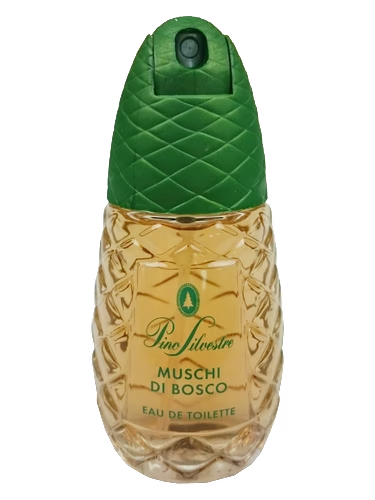 Pino Silvestre Muschi Di Bosco