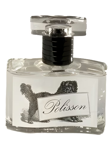 Polisson