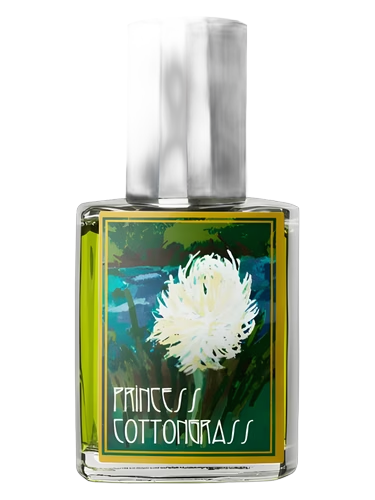 Princess Cottongrass