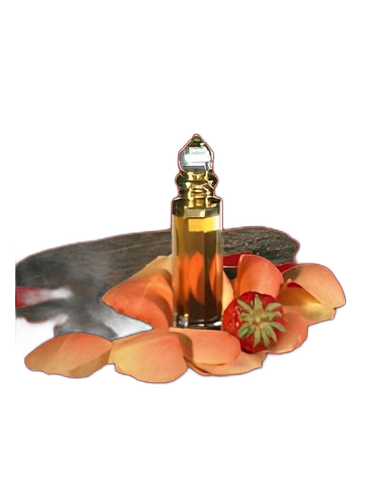 Princess Hamida by Arabian Oud
