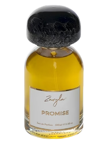 Promise