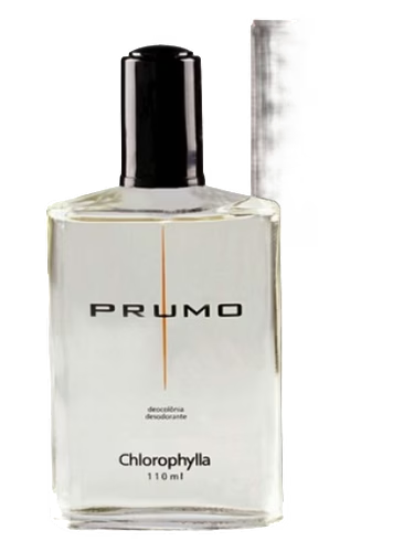 Prumo