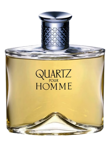 Quartz pour Homme
