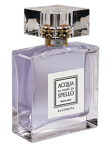 Raccolta