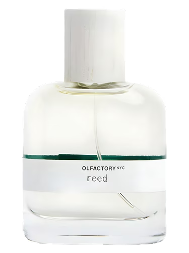 Reed