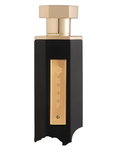 Reef 06