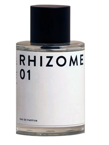 Rhizome 01