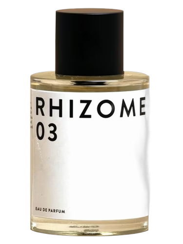Rhizome 03
