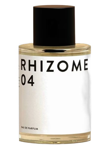 Rhizome 04