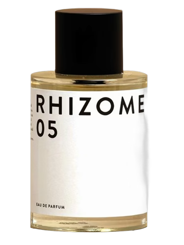 Rhizome 05