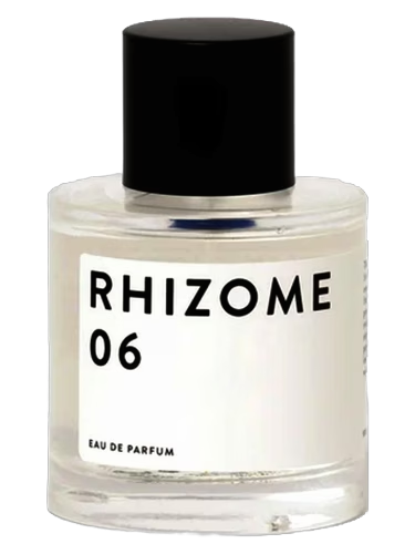 Rhizome 06