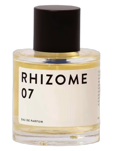 Rhizome 07