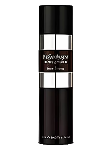 Rive Gauche Pour Homme Intense