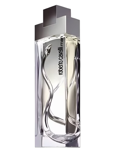 Roberto Cavalli Man by Roberto Cavalli