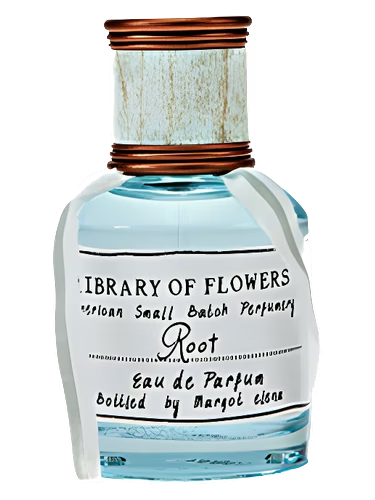 Root