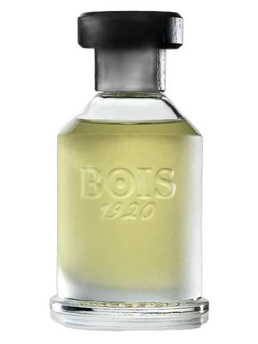 Rosa 23
