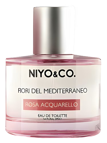Rosa Acquarello